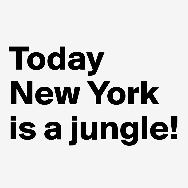
Today New York is a jungle!