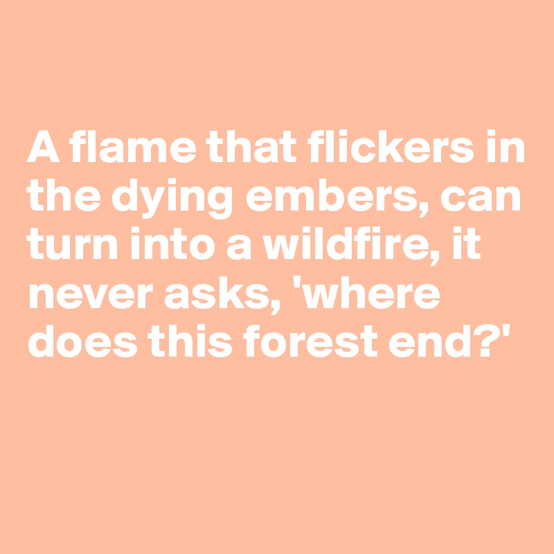 

A flame that flickers in 
the dying embers, can turn into a wildfire, it never asks, 'where does this forest end?' 


