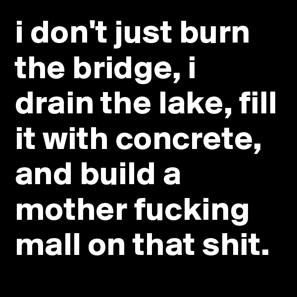 i don't just burn the bridge, i drain the lake, fill it with concrete, and build a mother fucking mall on that shit.