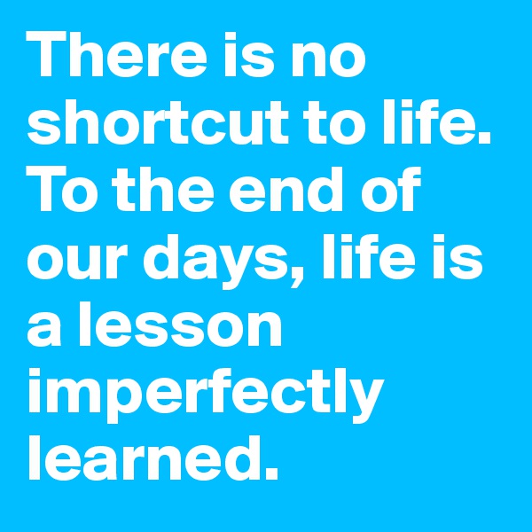 There is no shortcut to life. To the end of our days, life is a lesson imperfectly learned.