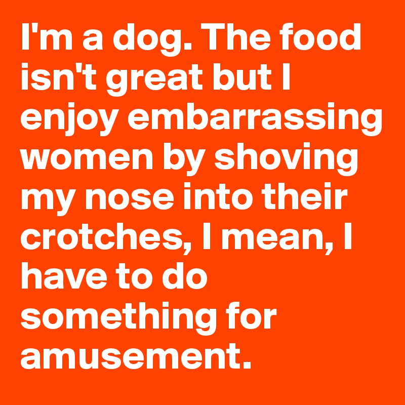 I'm a dog. The food isn't great but I enjoy embarrassing women by shoving my nose into their crotches, I mean, I have to do something for amusement.