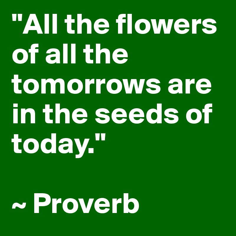 "All the flowers of all the tomorrows are in the seeds of today."

~ Proverb