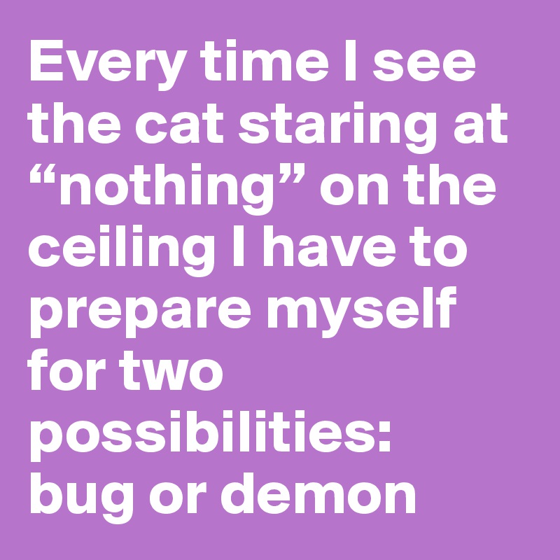 Every time I see the cat staring at “nothing” on the ceiling I have to prepare myself for two possibilities: 
bug or demon