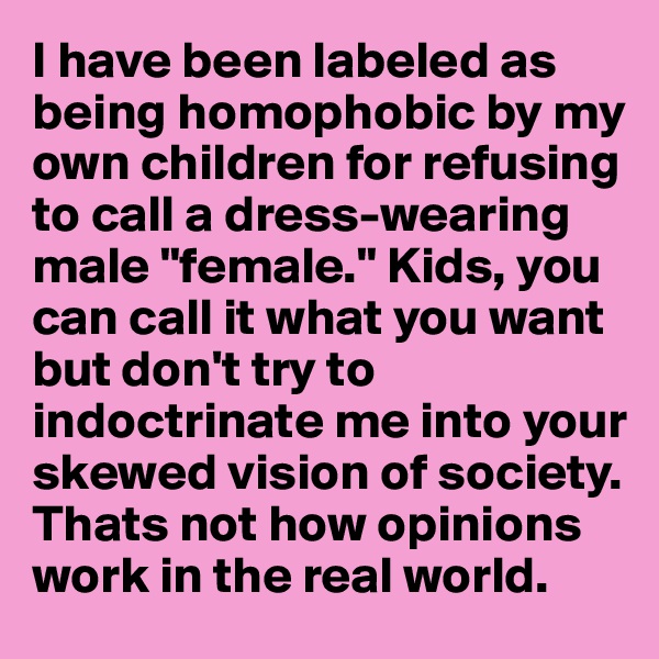 I have been labeled as being homophobic by my own children for refusing to call a dress-wearing male "female." Kids, you can call it what you want but don't try to indoctrinate me into your skewed vision of society. Thats not how opinions work in the real world.