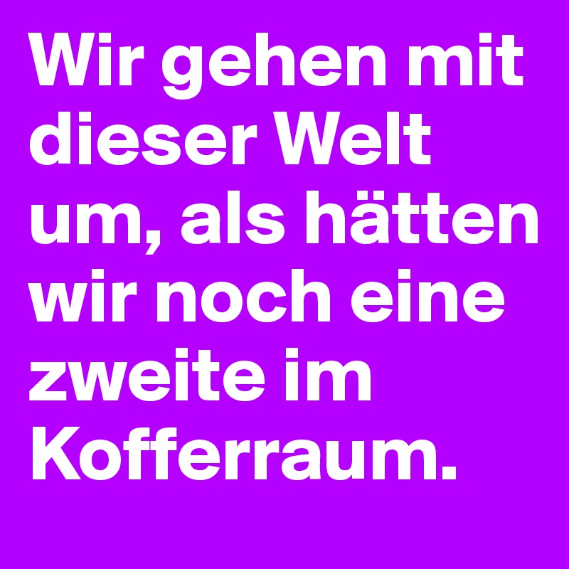 Wir gehen mit dieser Welt um, als hätten wir noch eine zweite im Kofferraum.