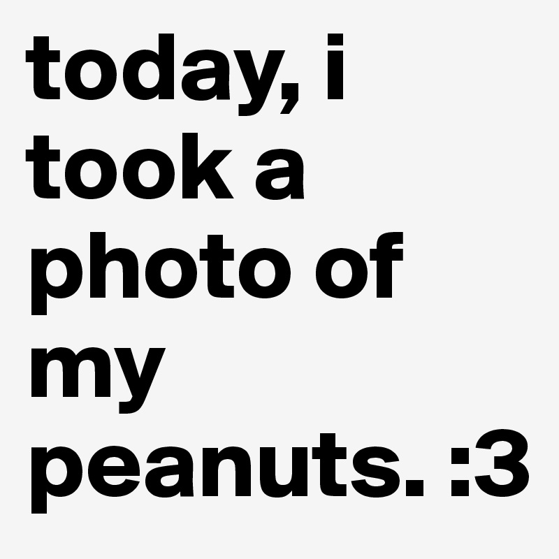 today, i took a photo of my peanuts. :3