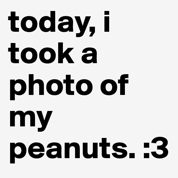 today, i took a photo of my peanuts. :3