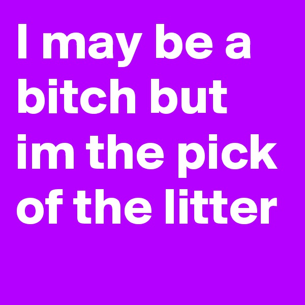 I may be a bitch but im the pick of the litter