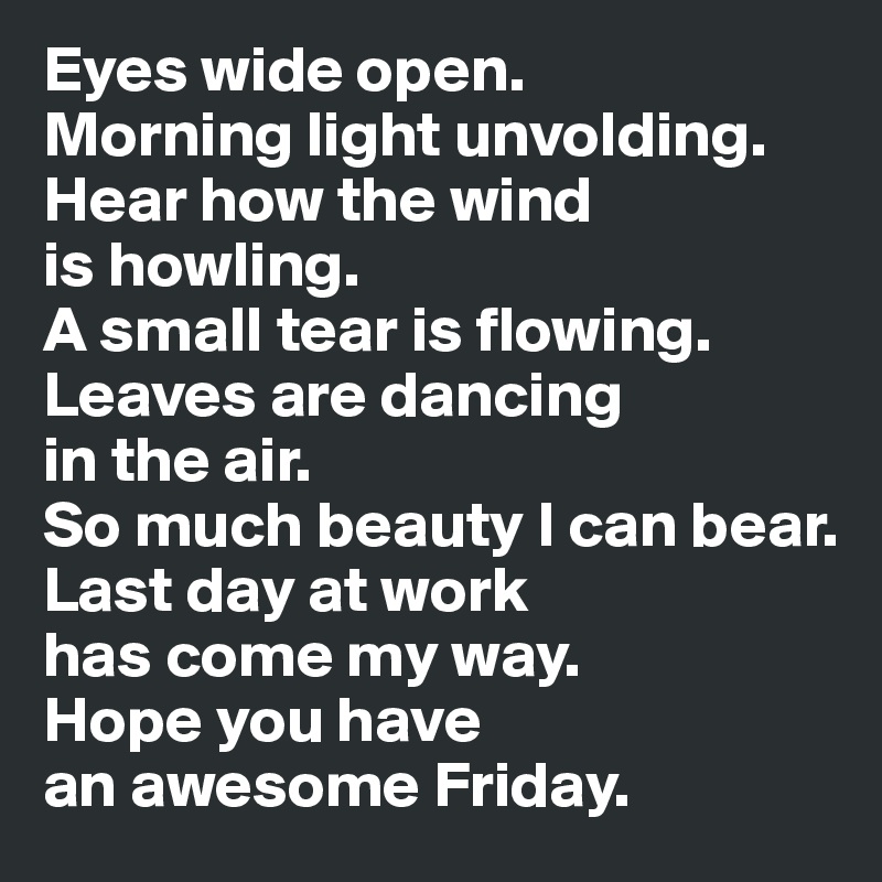 Eyes wide open. 
Morning light unvolding. 
Hear how the wind 
is howling. 
A small tear is flowing. Leaves are dancing 
in the air. 
So much beauty I can bear.
Last day at work 
has come my way. 
Hope you have 
an awesome Friday.