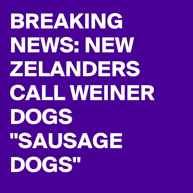 BREAKING NEWS: NEW ZELANDERS CALL WEINER DOGS "SAUSAGE DOGS"