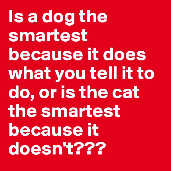 Is a dog the smartest because it does what you tell it to do, or is the cat the smartest because it doesn't???