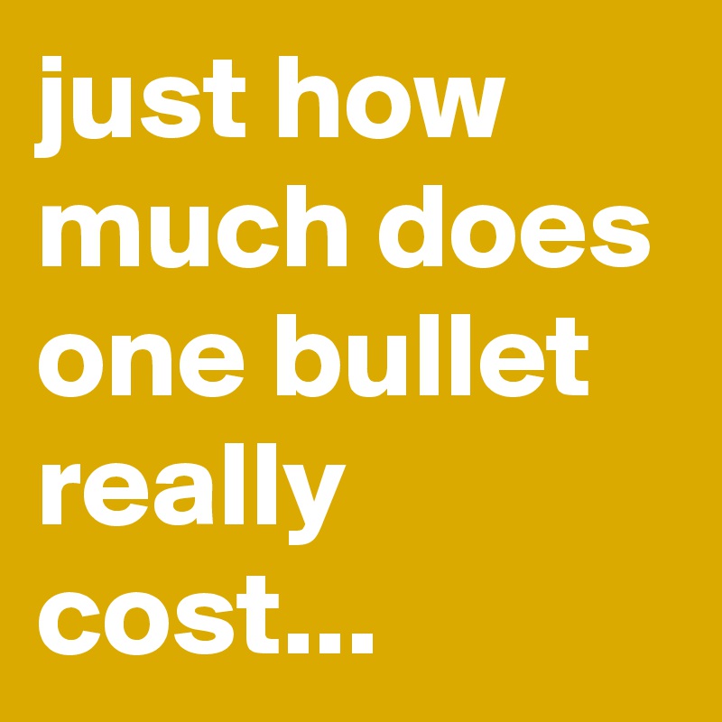 just how much does one bullet really cost...