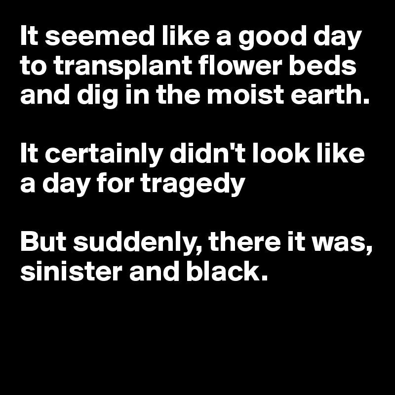 It seemed like a good day to transplant flower beds and dig in the moist earth.

It certainly didn't look like a day for tragedy

But suddenly, there it was,
sinister and black.


