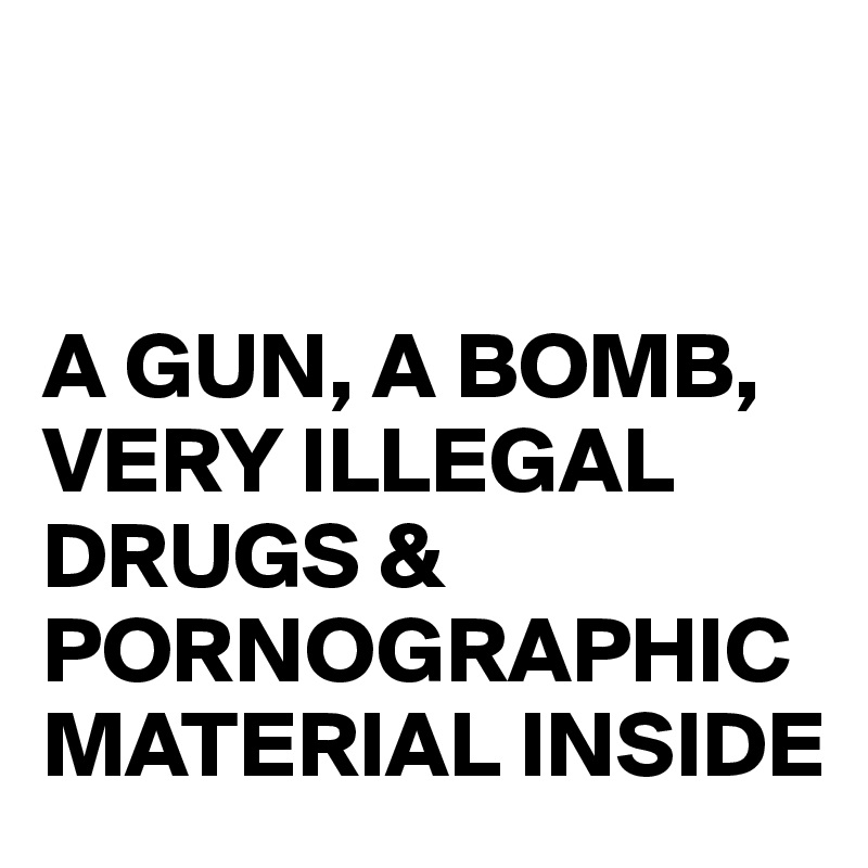 


A GUN, A BOMB, VERY ILLEGAL DRUGS &
PORNOGRAPHIC MATERIAL INSIDE