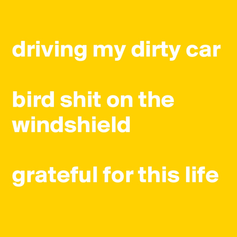 
driving my dirty car

bird shit on the windshield

grateful for this life
