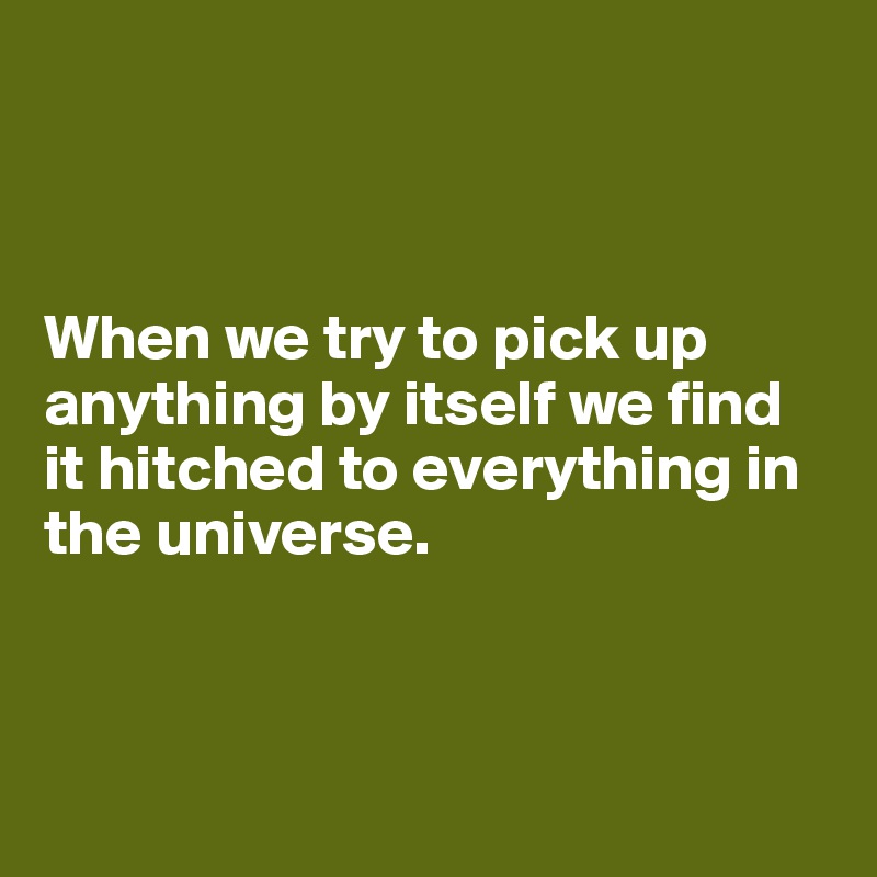 



When we try to pick up anything by itself we find it hitched to everything in the universe.



