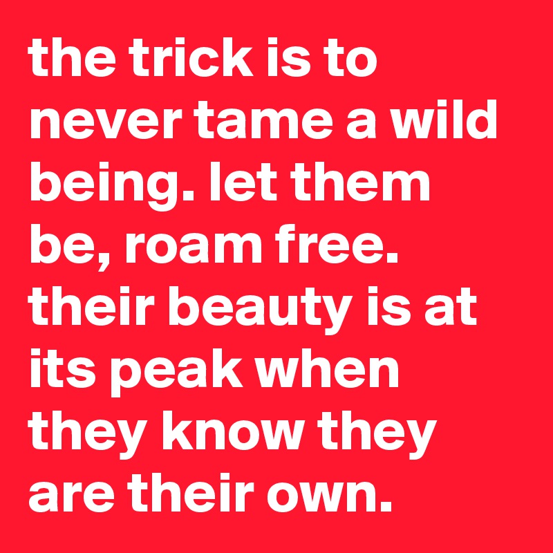 the trick is to never tame a wild being. let them be, roam free. their beauty is at its peak when they know they are their own.