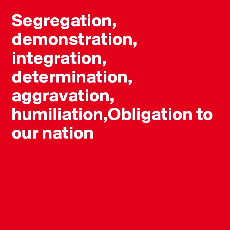 Segregation, demonstration, integration, determination, aggravation, humiliation,Obligation to our nation



