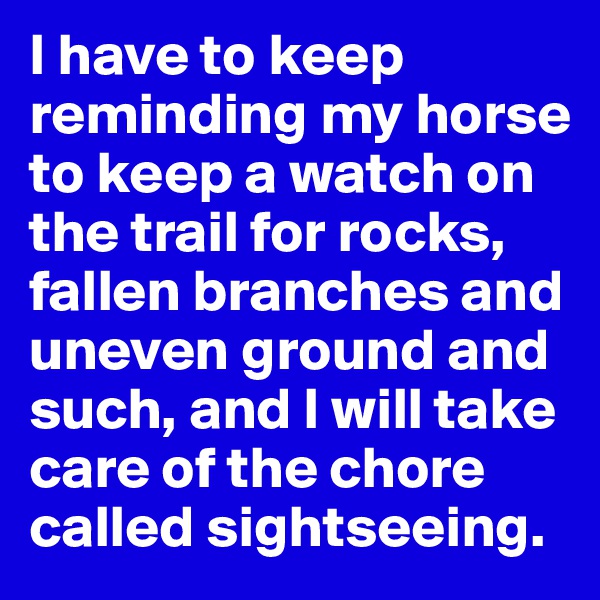 I have to keep reminding my horse to keep a watch on the trail for rocks, fallen branches and uneven ground and such, and I will take care of the chore called sightseeing.