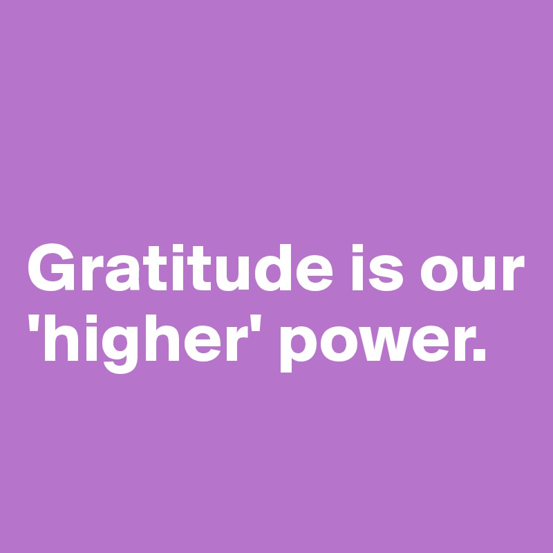


Gratitude is our 'higher' power.
