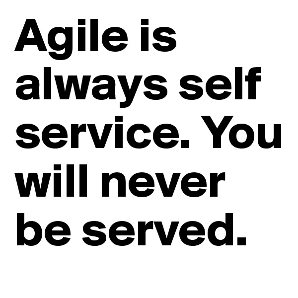 Agile is always self service. You will never be served. 