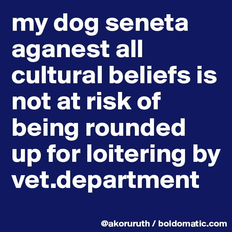 my dog seneta aganest all cultural beliefs is not at risk of being rounded up for loitering by vet.department