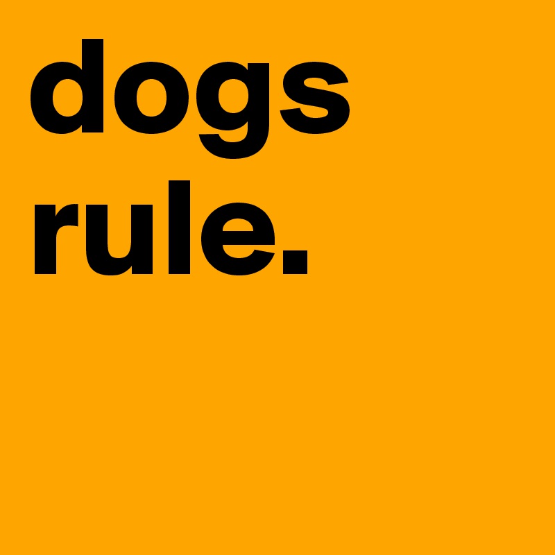 dogs
rule. 