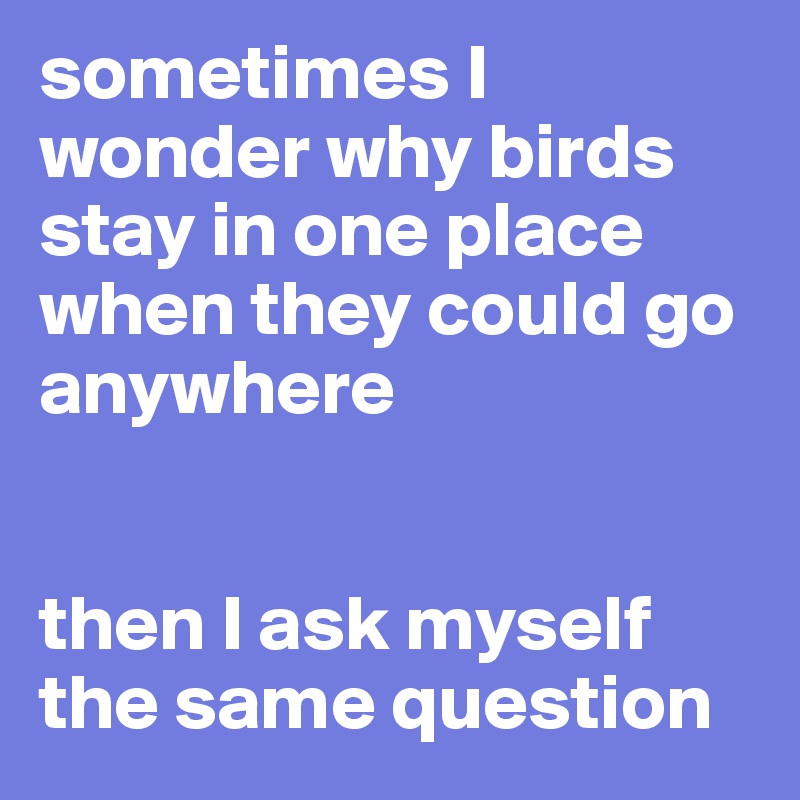 sometimes I wonder why birds stay in one place when they could go anywhere 


then I ask myself the same question