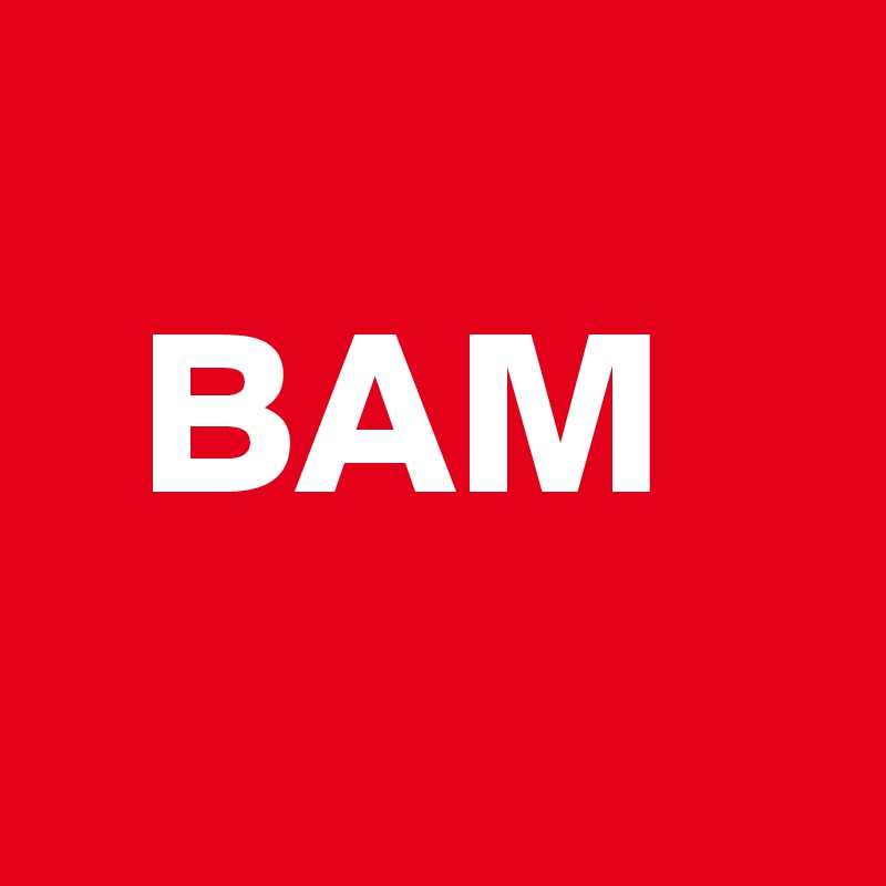 
  BAM