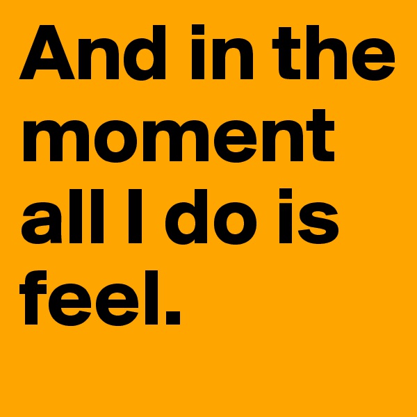 And in the moment all I do is feel.