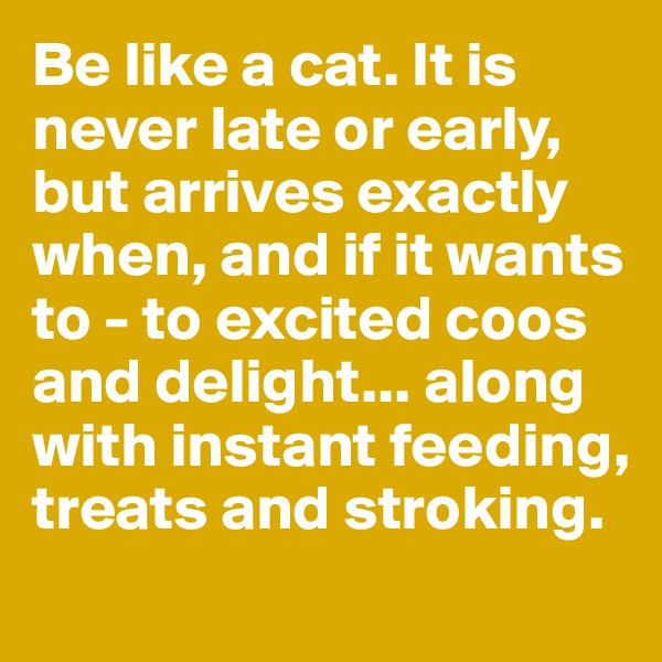 Be like a cat. It is never late or early, but arrives exactly when, and if it wants to - to excited coos and delight... along with instant feeding, treats and stroking.  
