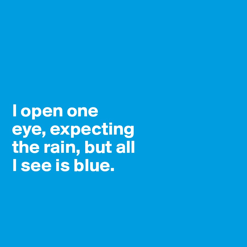 




I open one 
eye, expecting 
the rain, but all 
I see is blue. 


