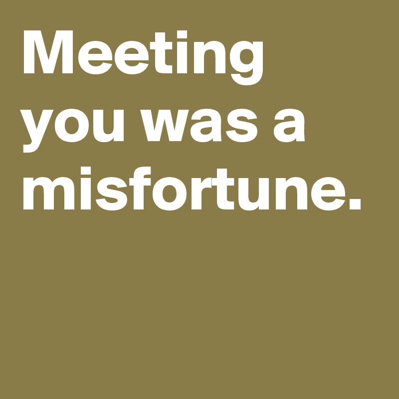 Meeting you was a misfortune. 