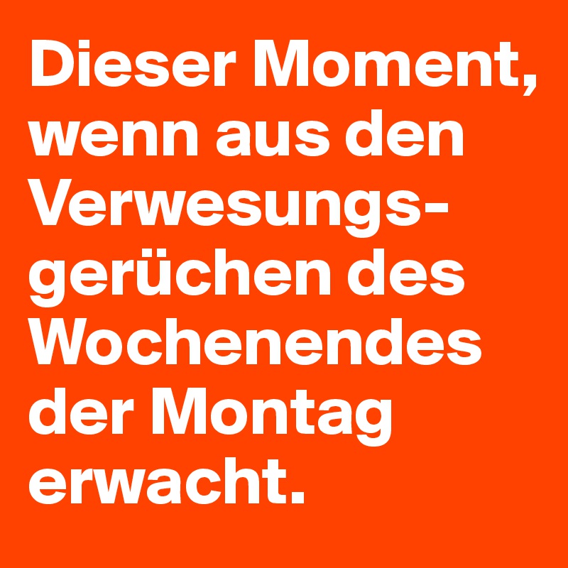 Dieser Moment, wenn aus den Verwesungs-gerüchen des Wochenendes der Montag erwacht.