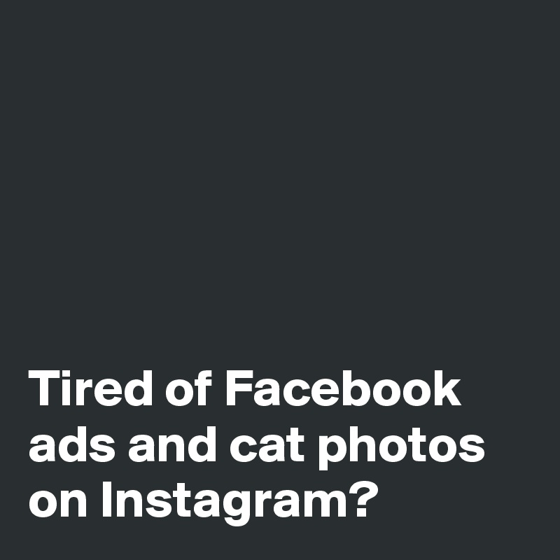 





Tired of Facebook ads and cat photos on Instagram? 