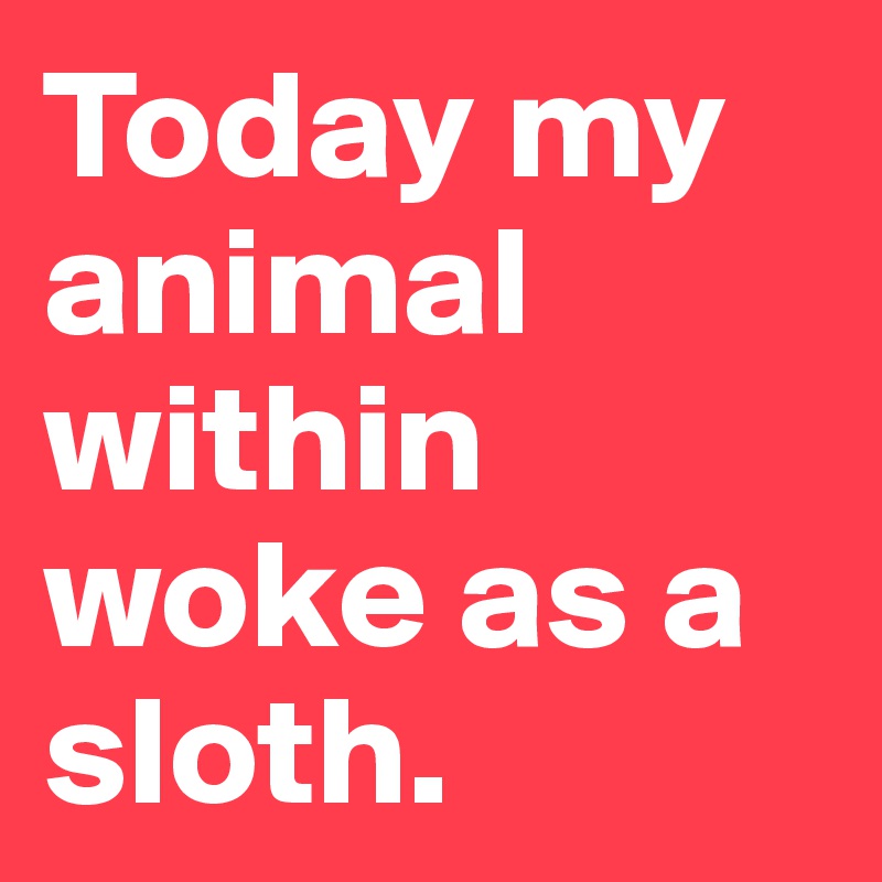 Today my animal within woke as a sloth. 