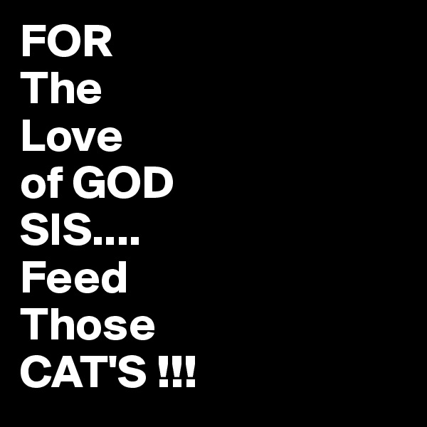 FOR
The
Love
of GOD 
SIS....
Feed
Those 
CAT'S !!!