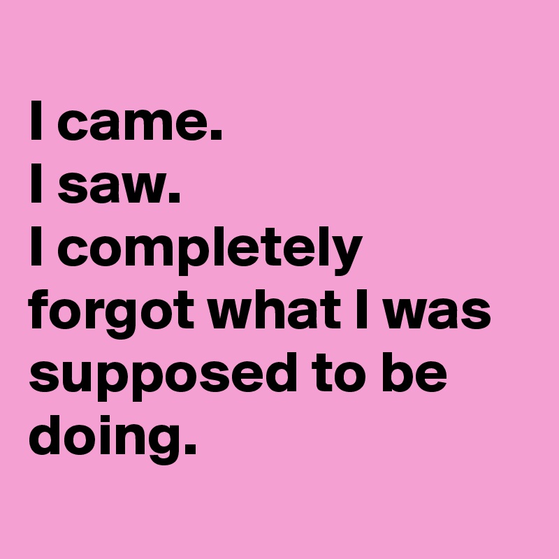 
I came.
I saw.
I completely forgot what I was supposed to be doing.
