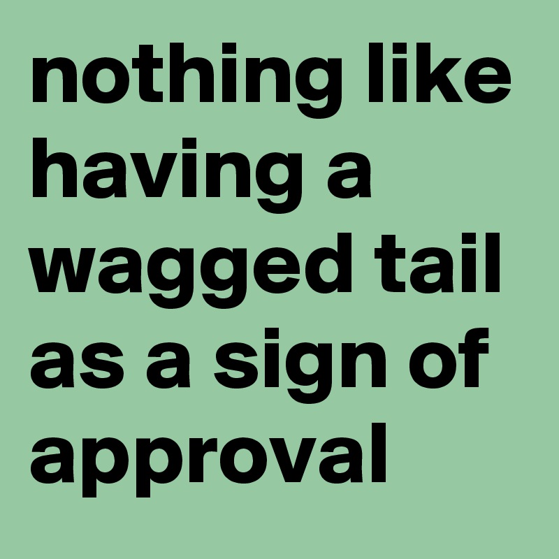 nothing like having a wagged tail as a sign of approval