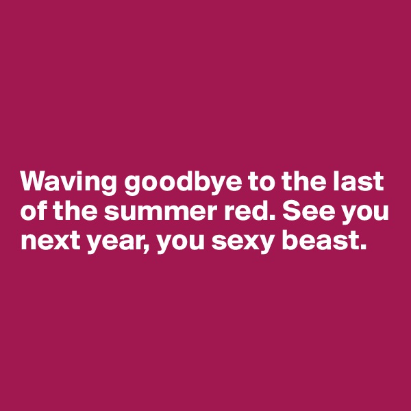 




Waving goodbye to the last of the summer red. See you next year, you sexy beast. 



