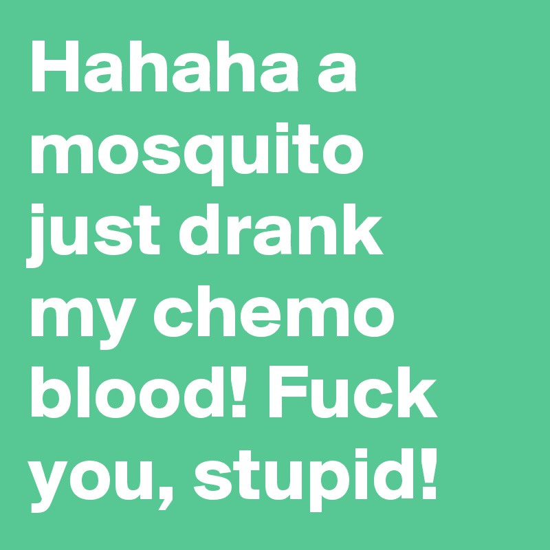 Hahaha a mosquito just drank my chemo blood! Fuck you, stupid!
