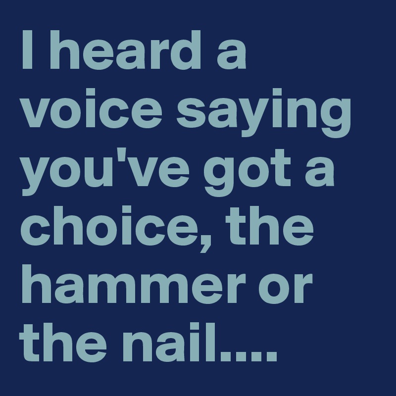 I heard a voice saying you've got a choice, the hammer or the nail....