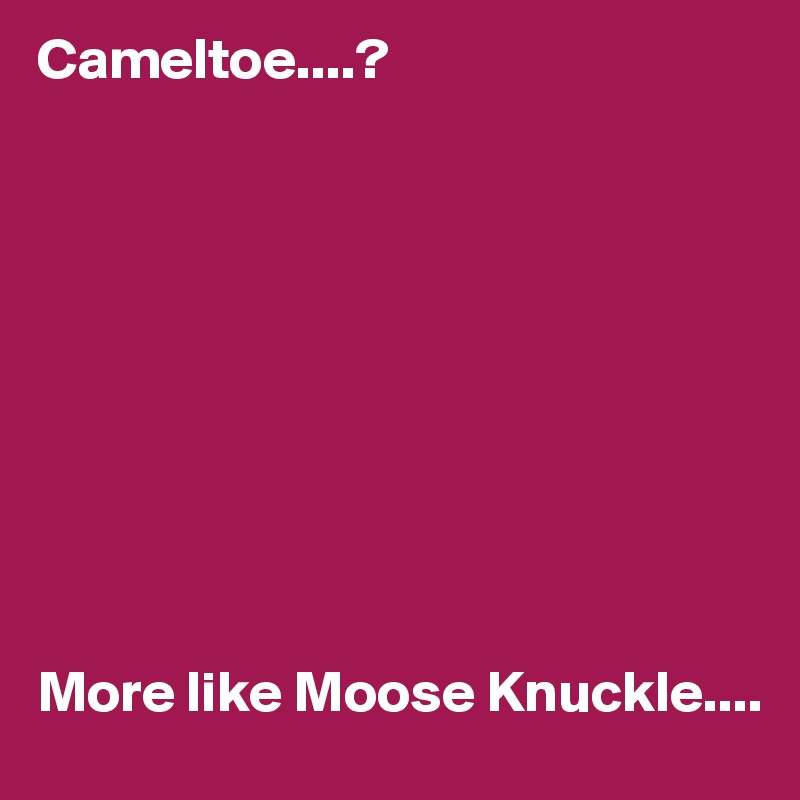 Cameltoe....? 










More like Moose Knuckle....