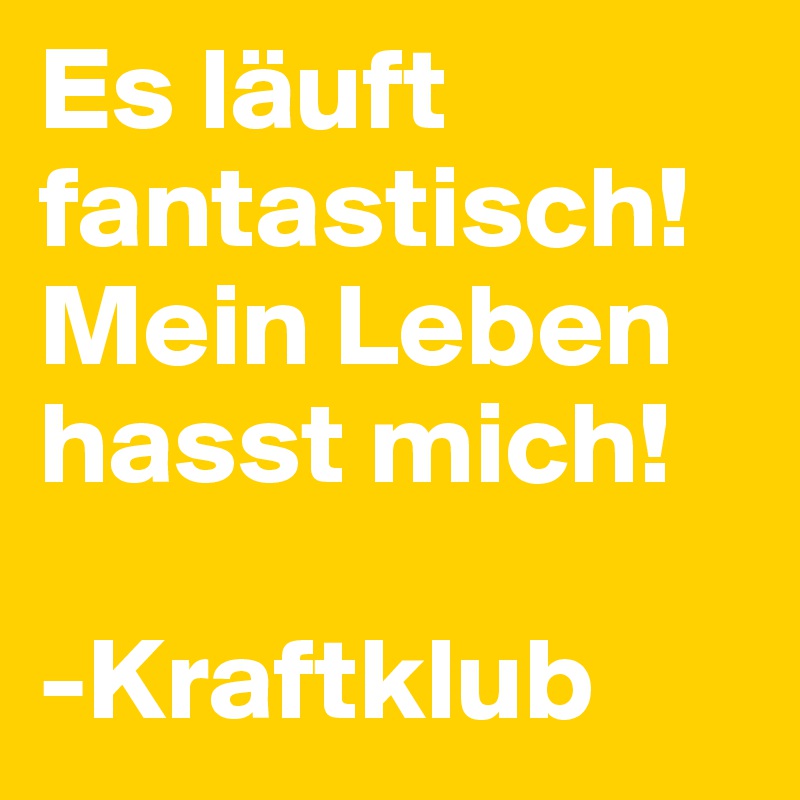 Es läuft fantastisch! Mein Leben hasst mich!

-Kraftklub