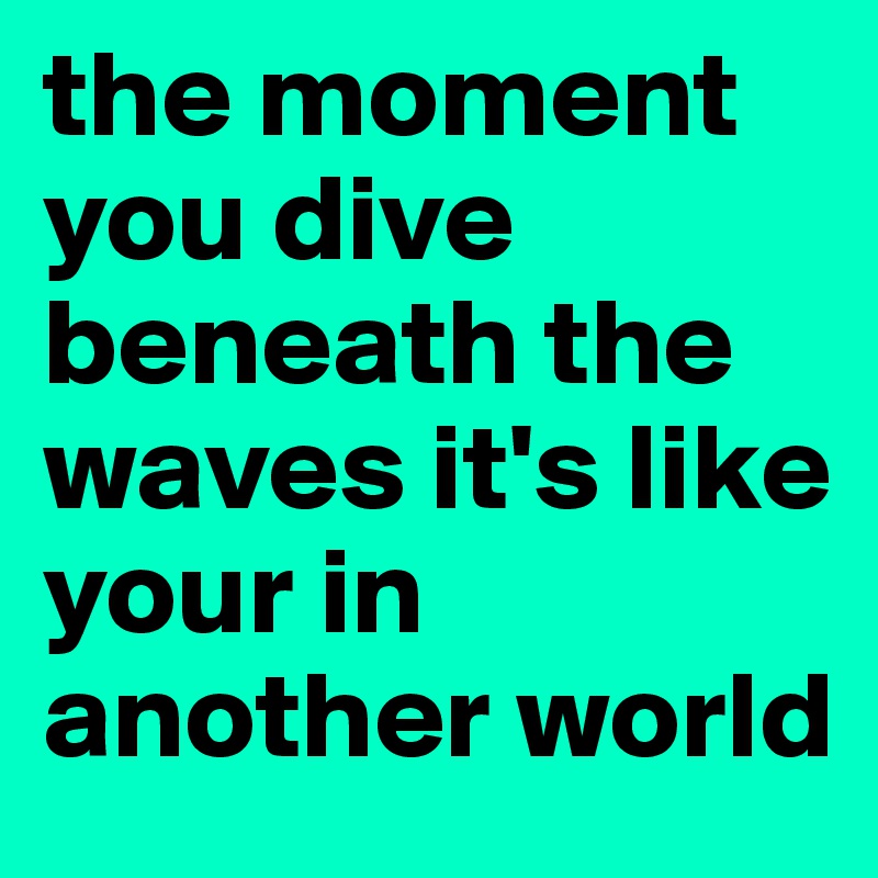the moment you dive beneath the waves it's like your in another world
