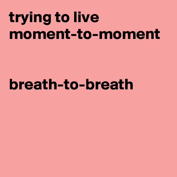 trying to live moment-to-moment


breath-to-breath
