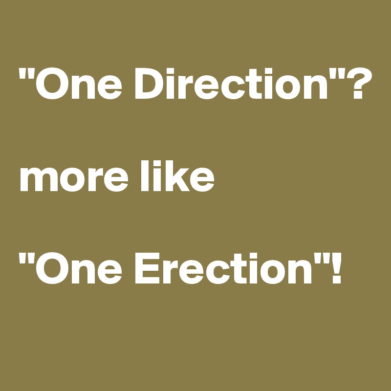 
"One Direction"?

more like 

"One Erection"!
