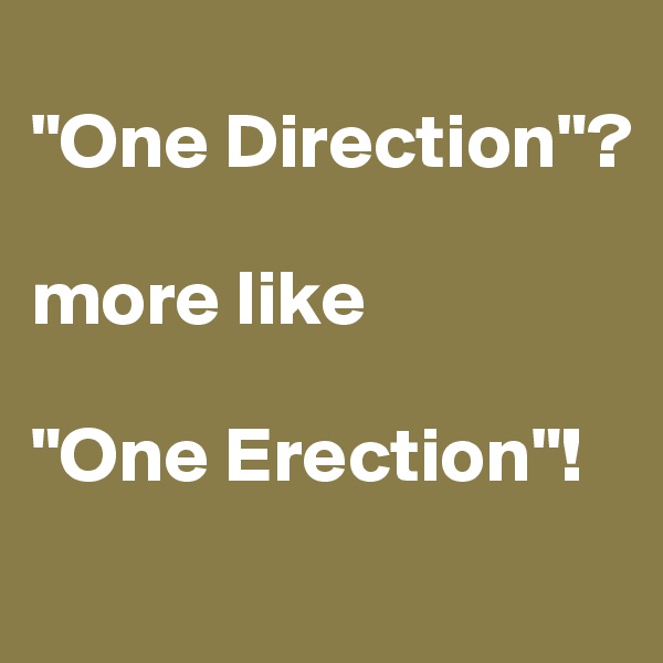 
"One Direction"?

more like 

"One Erection"!
