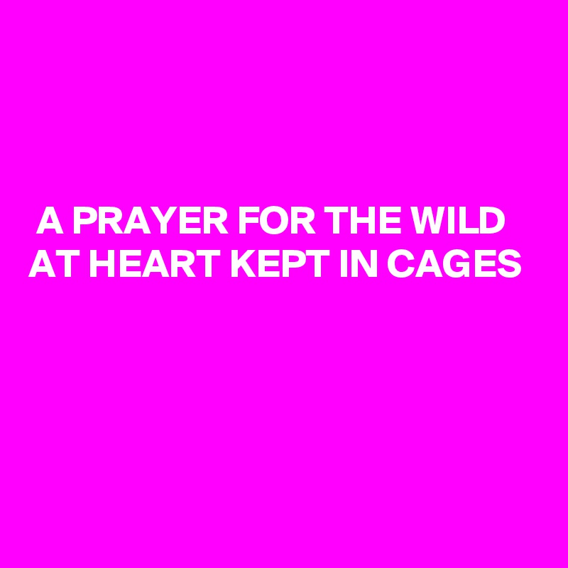 



 A PRAYER FOR THE WILD
AT HEART KEPT IN CAGES




