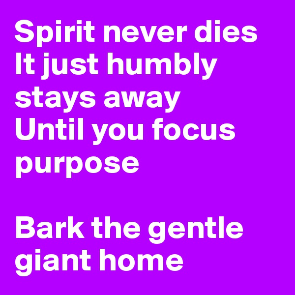 Spirit never dies 
It just humbly stays away
Until you focus purpose

Bark the gentle giant home